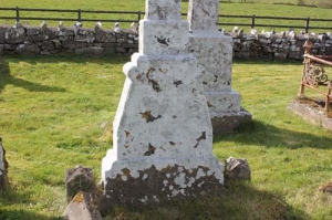 Beirne Jane T Grallagh